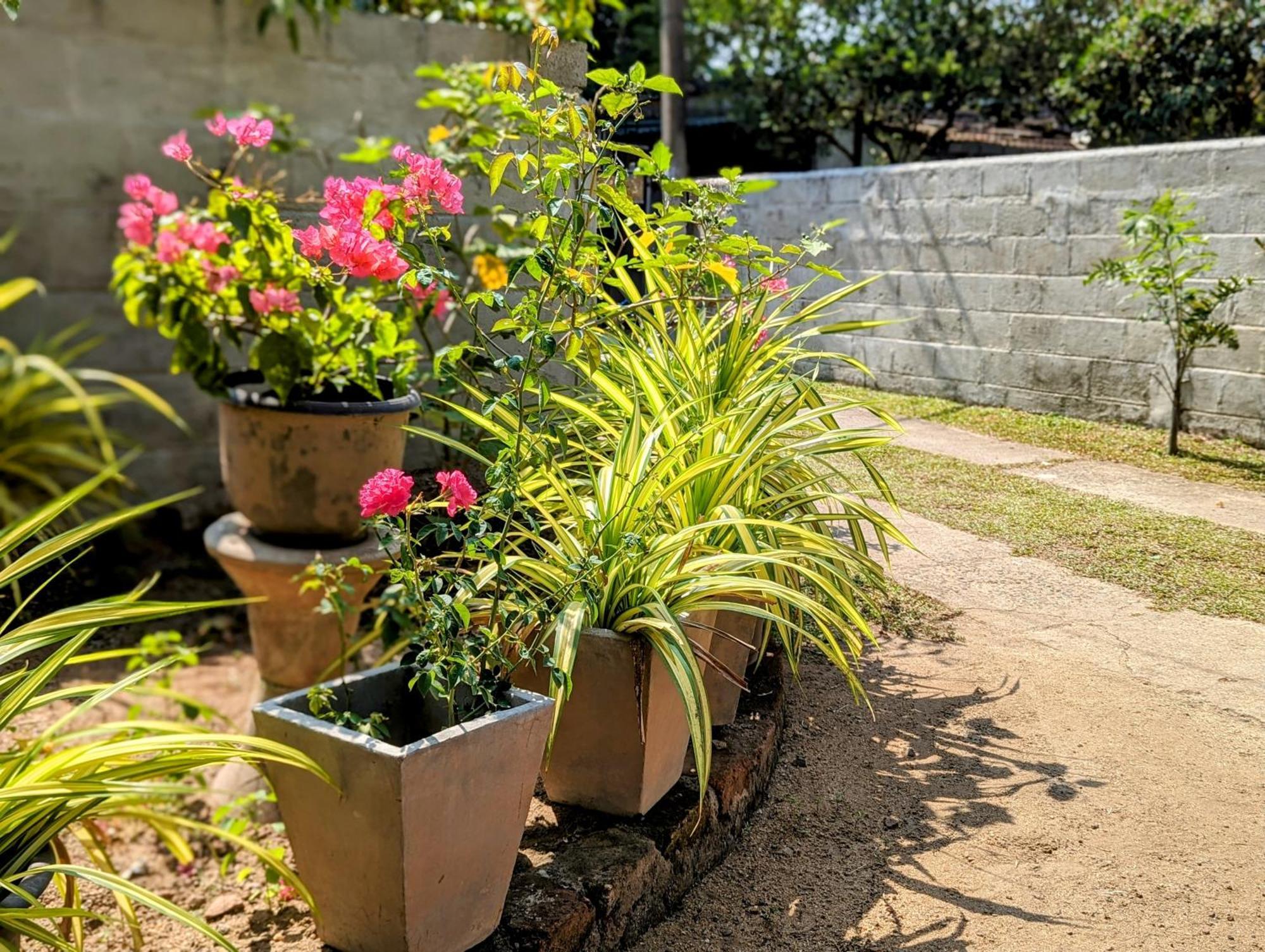 Villa 163 尼甘布 外观 照片